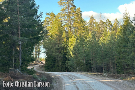 © Christan Larsson.